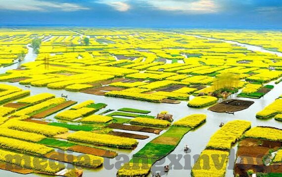 69久久91麻豆一区二区三区-平实探讨，网络世界中的信息筛选与个人认知