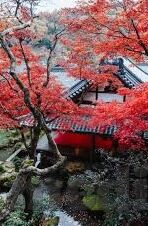 91传媒果冻传媒-91传媒与果冻传媒，数字时代下的内容创新与融合