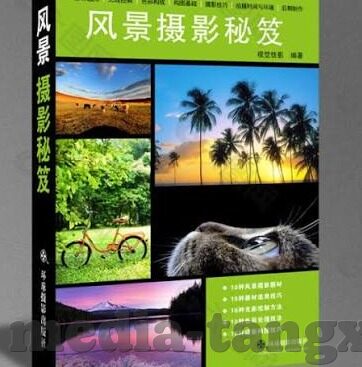 91亚洲麻豆影院-91亚洲麻豆影院，多维视角下的互联网文化现象