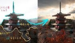 果冻传媒有限公司甜甜-甜蜜的创意，果冻传媒有限公司与甜甜的故事