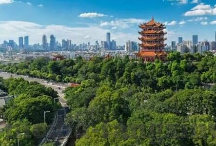 麻豆传媒下载-麻豆传媒，数字娱乐时代的幕后探索