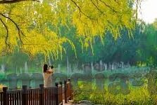 色婷婷av一区二区三区麻豆-探索网络世界的边缘，探讨网络内容与文化多元化