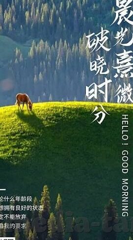 中文字幕50路三浦理惠子-探索三浦理惠子在中文字幕50路中的独特魅力
